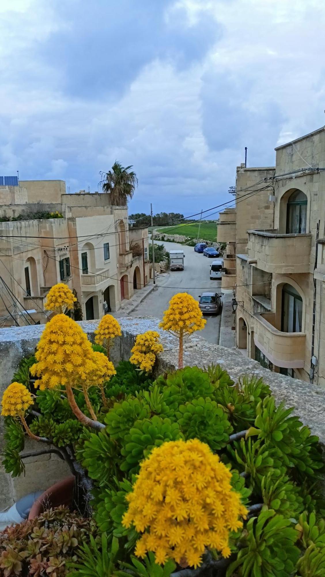 Arthome - Guest Rooms Gharb  Ngoại thất bức ảnh
